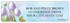 Gail Marie New Day Address Labels Image 1
