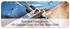  Star Wars &amp;#153; Vehicles Address Labels Image 3